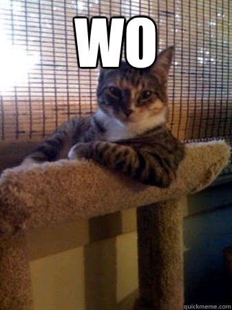 Wo   The Most Interesting Cat in the World