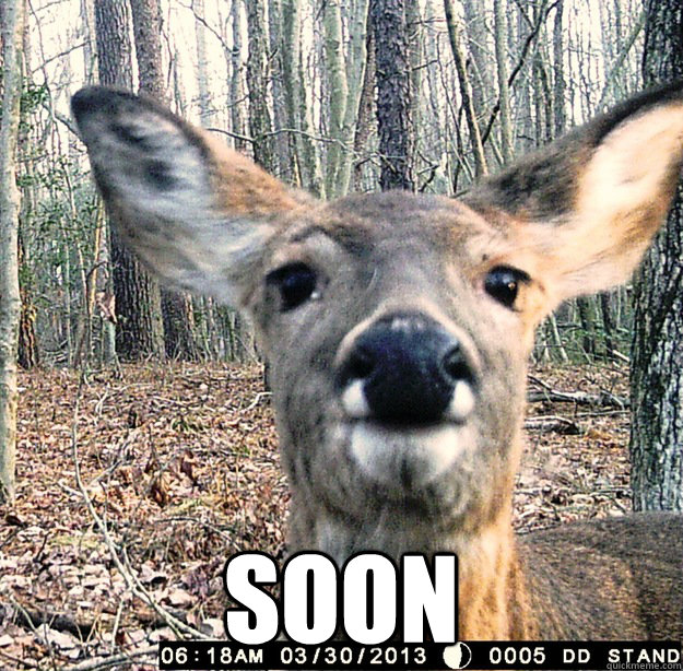  Soon -  Soon  Stalker Deer