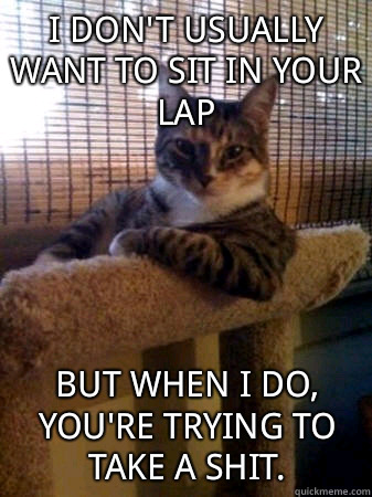 I DON'T USUALLY WANT TO SIT IN YOUR LAP but when I do, you're trying to take a shit.  The Most Interesting Cat in the World