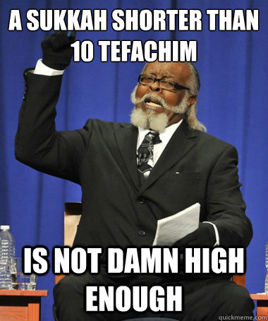 A sukkah shorter than 10 tefachim is not damn high enough - A sukkah shorter than 10 tefachim is not damn high enough  The Rent Is Too Damn High