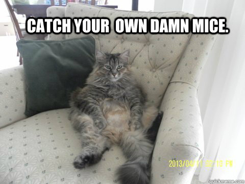 Catch your  own damn mice. - Catch your  own damn mice.  Relaxed cat