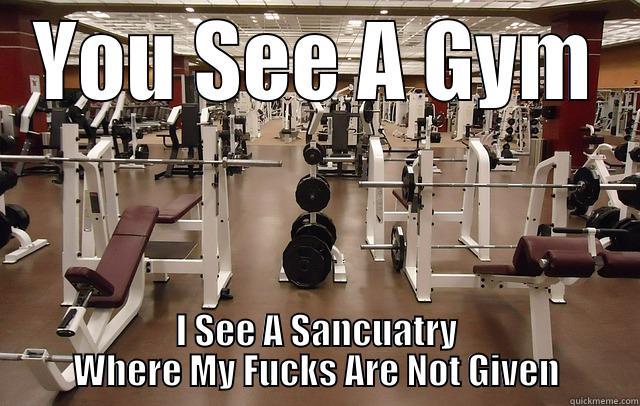 YOU SEE A GYM I SEE A SANCUATRY WHERE MY FUCKS ARE NOT GIVEN Misc