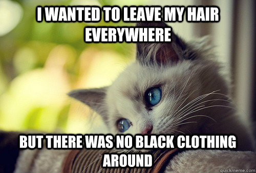 I wanted to leave my hair everywhere but there was no black clothing around  First World Cat Problems