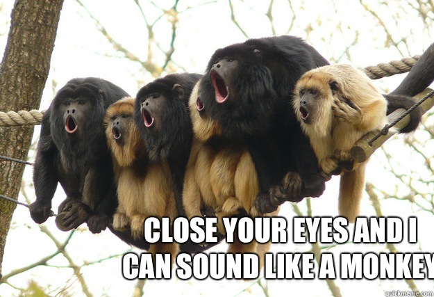 Close your eyes and I can sound like a monkey   