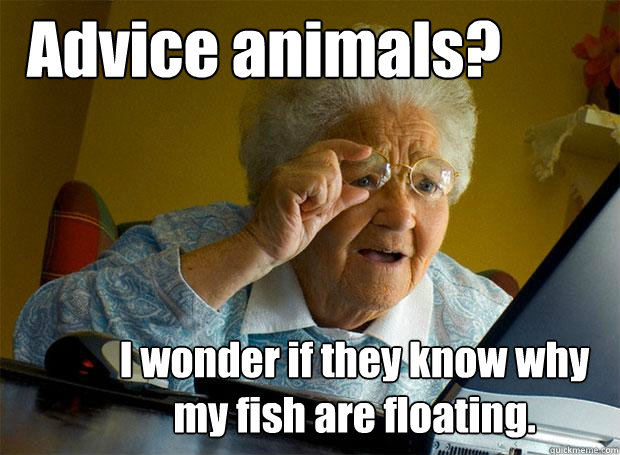 Advice animals? I wonder if they know why my fish are floating.  Grandma finds the Internet