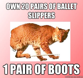 Own 20 pairs of ballet slippers 1 pair of boots - Own 20 pairs of ballet slippers 1 pair of boots  Ballerina Bobcat