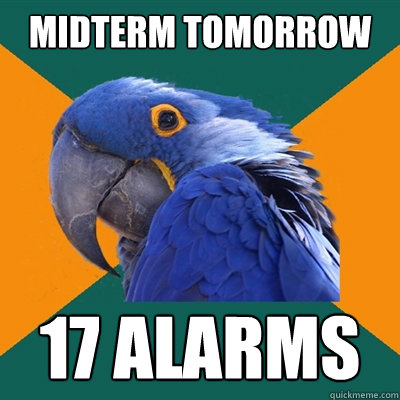 midterm tomorrow 17 alarms  Paranoid Parrot