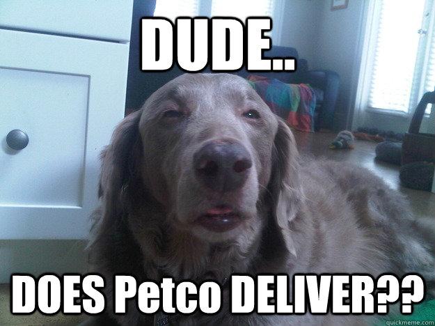 DUDE.. DOES Petco DELIVER?? - DUDE.. DOES Petco DELIVER??  10 Dog