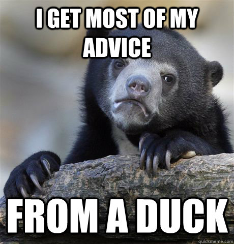 i get most of my advice from a duck  Confession Bear