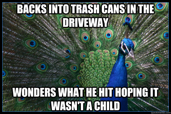 Backs into trash cans in the driveway wonders what he hit hoping it wasn't a child - Backs into trash cans in the driveway wonders what he hit hoping it wasn't a child  Arrogant Pshit Peacock