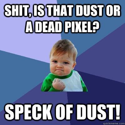 Shit, is that dust or a dead pixel? speck of dust!  Success Kid