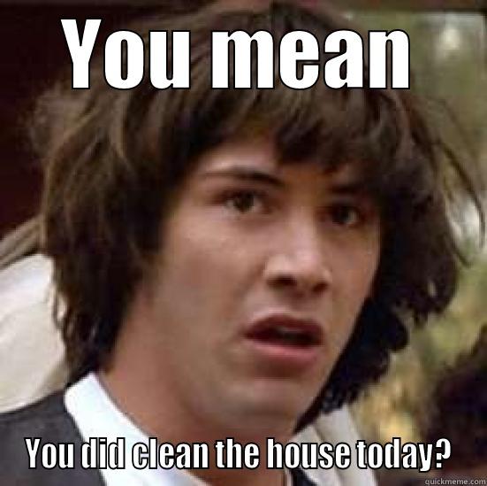 YOU MEAN YOU DID CLEAN THE HOUSE TODAY?  conspiracy keanu
