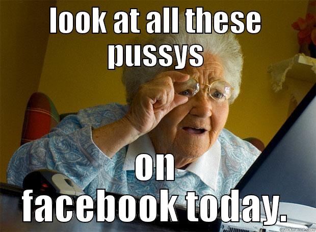 LOOK AT ALL THESE PUSSYS ON FACEBOOK TODAY. Grandma finds the Internet