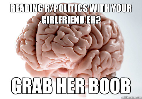 Reading r/politics with your girlfriend eh? Grab her boob  Scumbag Brain