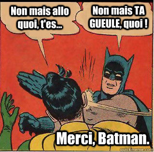 Non mais allo quoi, t'es... Non mais TA GUEULE, quoi ! Merci, Batman.  Slappin Batman