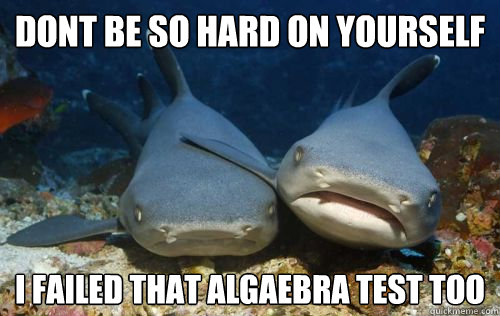 dont be so hard on yourself i failed that algaebra test too  Compassionate Shark Friend