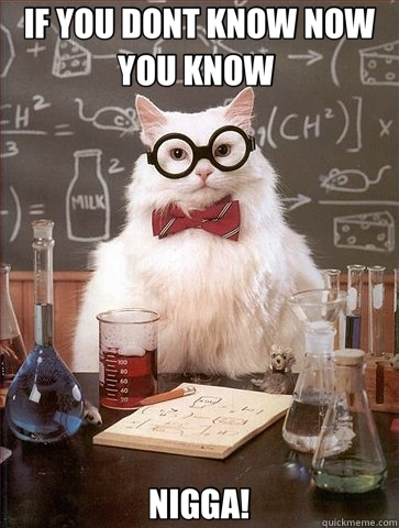 IF YOU DONT KNOW NOW YOU KNOW  NIGGA! - IF YOU DONT KNOW NOW YOU KNOW  NIGGA!  Chemistry Cat