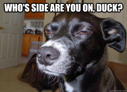 Who's side are you on, Duck?  - Who's side are you on, Duck?   Suspicious Dog