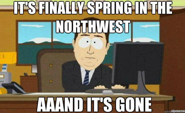 It's finally spring in the northwest Aaand it's gone  aaaand its gone