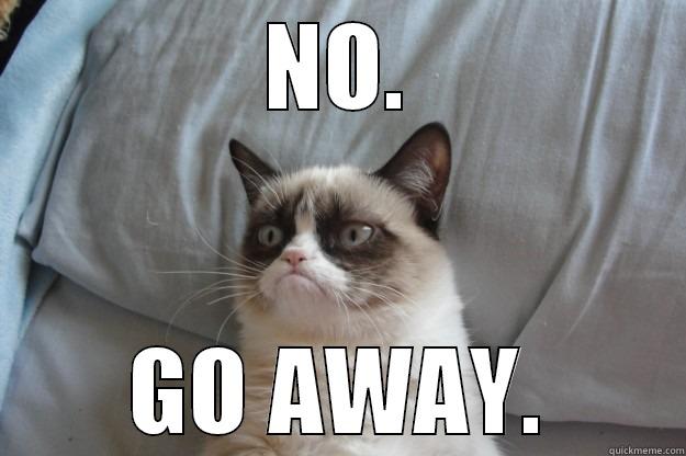 No. Go Away. - NO. GO AWAY. Grumpy Cat