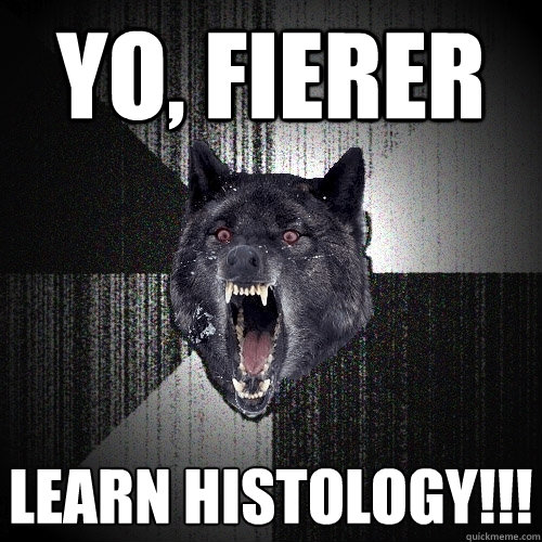 Yo, fierer LEARN HISTOLOGY!!!  Insanity Wolf