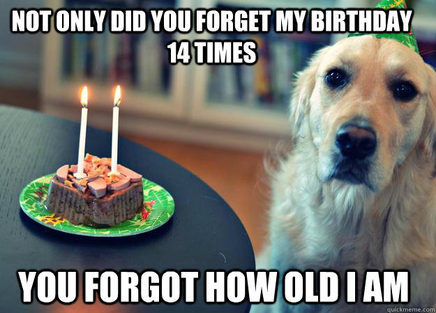 Not only did you forget my birthday 14 times you forgot how old I am  Sad Birthday Dog