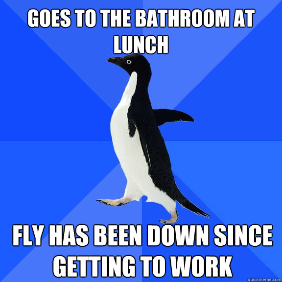 goes to the bathroom at lunch fly has been down since getting to work  Socially Awkward Penguin