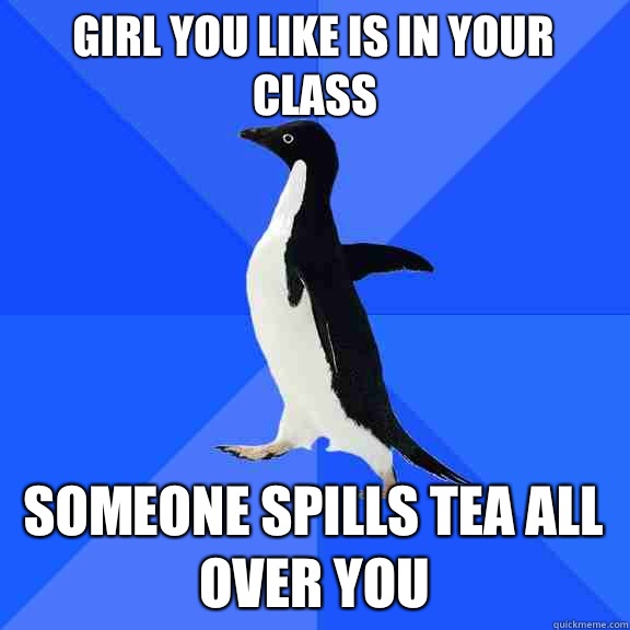 Girl you like is in your class Someone spills tea all over you - Girl you like is in your class Someone spills tea all over you  Socially Awkward Penguin