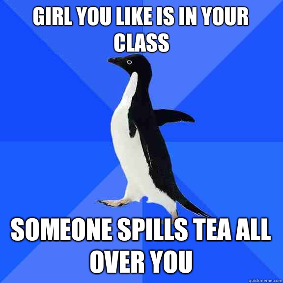 Girl you like is in your class Someone spills tea all over you  Socially Awkward Penguin