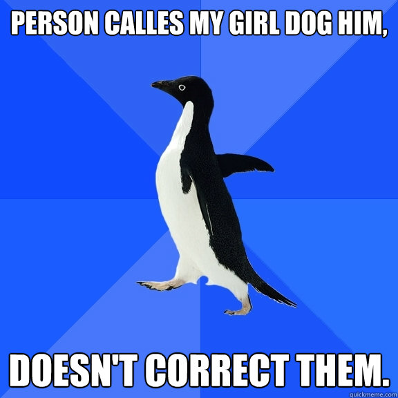 Person calles my girl dog him, Doesn't correct them.  Socially Awkward Penguin