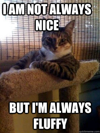 I am not always nice but i'm always fluffy  The Most Interesting Cat in the World