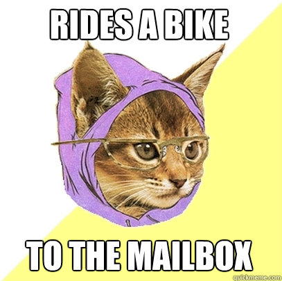Rides a bike to the mailbox  Hipster Kitty