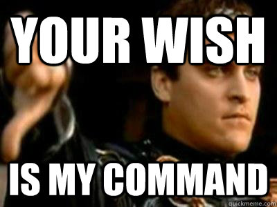 your wish  is my command - your wish  is my command  Downvoting Roman