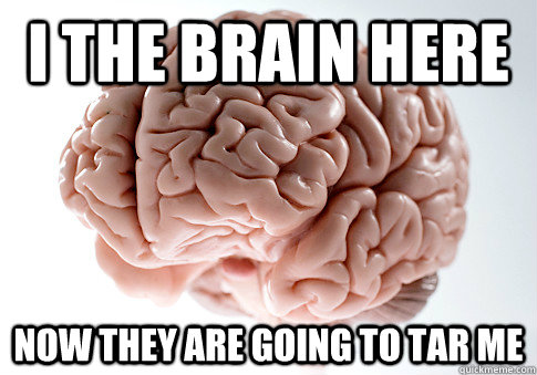 I the brain here  now they are going to tar me  Scumbag Brain