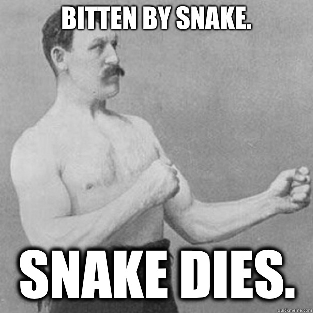 Bitten by snake. Snake dies.  overly manly man