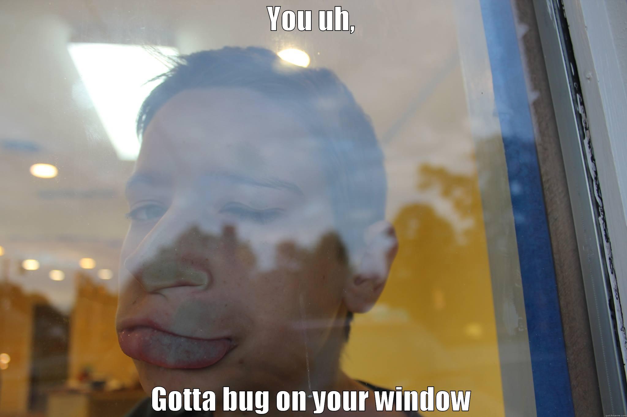 YOU UH, GOTTA BUG ON YOUR WINDOW Misc
