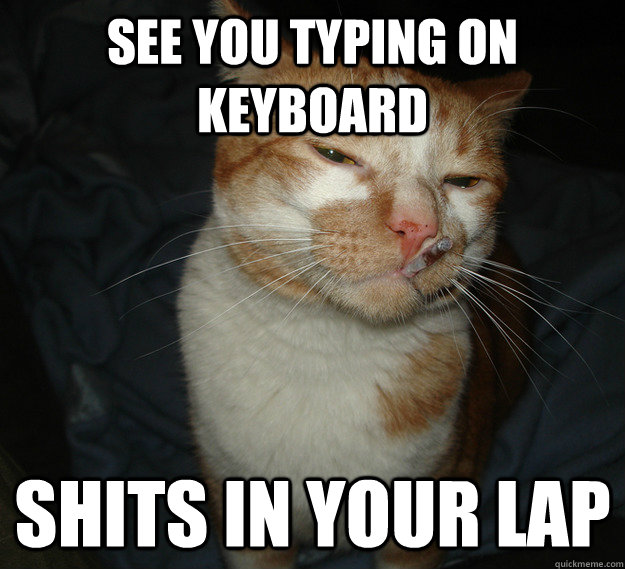 See you typing on keyboard Shits in your lap  Cool Cat Craig