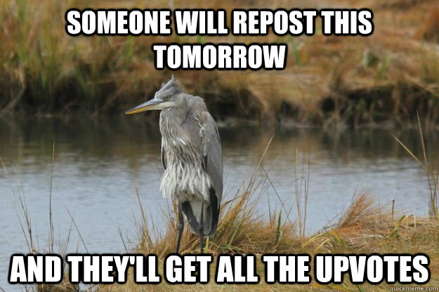 someone will repost this tomorrow and they'll get all the upvotes  No upvote