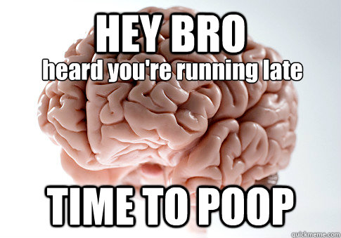 HEY BRO TIME TO POOP heard you're running late  Scumbag Brain