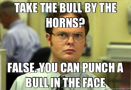 TAKE THE BULL BY THE HORNS? FALSE. YOU CAN PUNCH A BULL IN THE FACE  Schrute