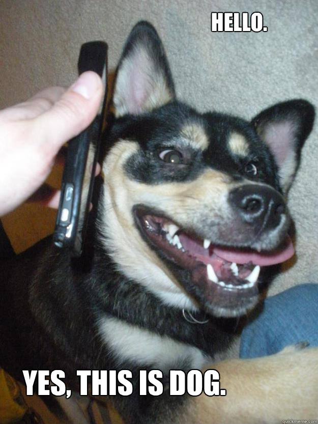 Hello. Yes, this is dog. - Hello. Yes, this is dog.  This is dog