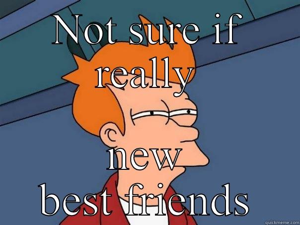 NOT SURE IF REALLY NEW BEST FRIENDS Futurama Fry