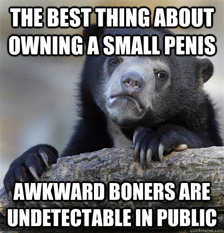 The Best thing about owning a small penis Awkward boners are undetectable in public  Confession Bear