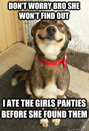 don't worry bro she won't find out i ate the girls panties before she found them  Good Dog Greg