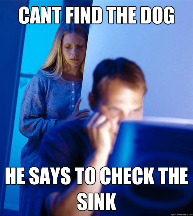 CANT FIND THE DOG HE SAYS TO CHECK THE SINK  Redditors Wife