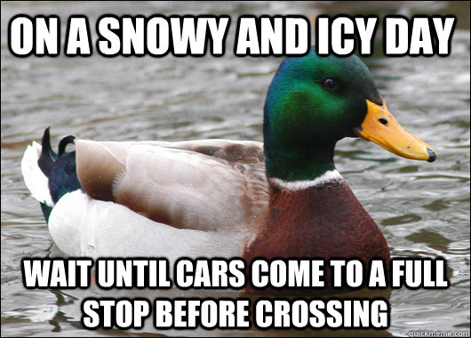 On a snowy and icy day wait until cars come to a full stop before crossing  Actual Advice Mallard