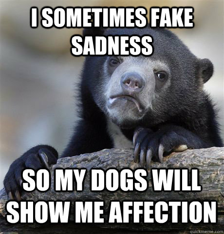 i sometimes fake sadness  So my dogs will show me affection   Confession Bear