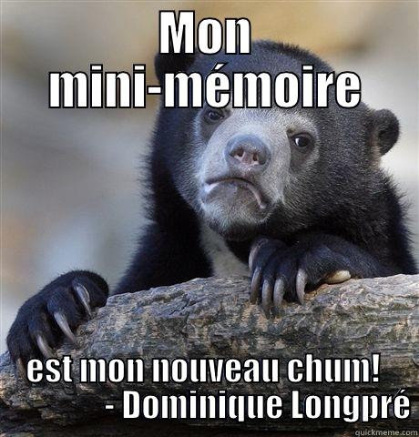 MON MINI-MÉMOIRE EST MON NOUVEAU CHUM!                  - DOMINIQUE LONGPRÉ Confession Bear
