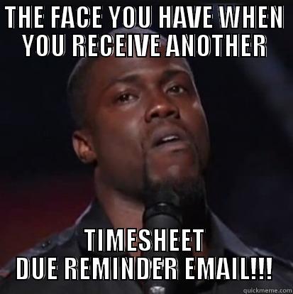 THE FACE YOU HAVE WHEN YOU RECEIVE ANOTHER TIMESHEET DUE REMINDER EMAIL!!! Misc