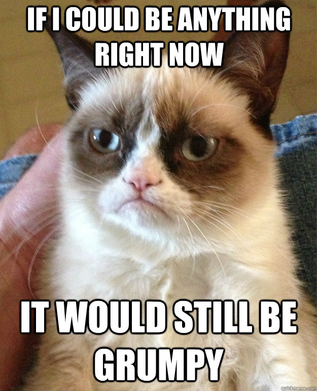 If i could be anything right now It would still be Grumpy  Grumpy Cat